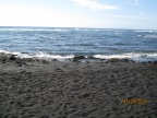 IMG 0261